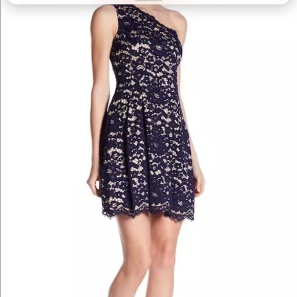 Vince Camuto Dresses & Skirts - 🎉HP⭐️Vince Camuto laced, lined, Blue size 16